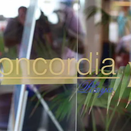 Checkin Concordia Playa فندق بويرتو ذي لا كروز